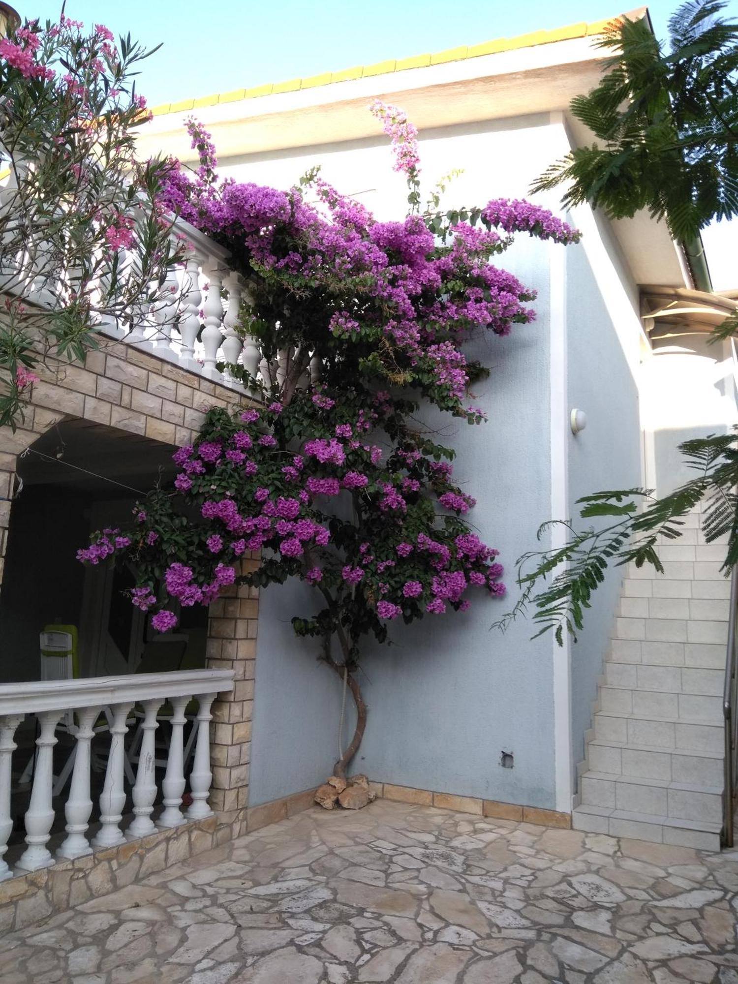 Apartmani Korade 维尔 外观 照片
